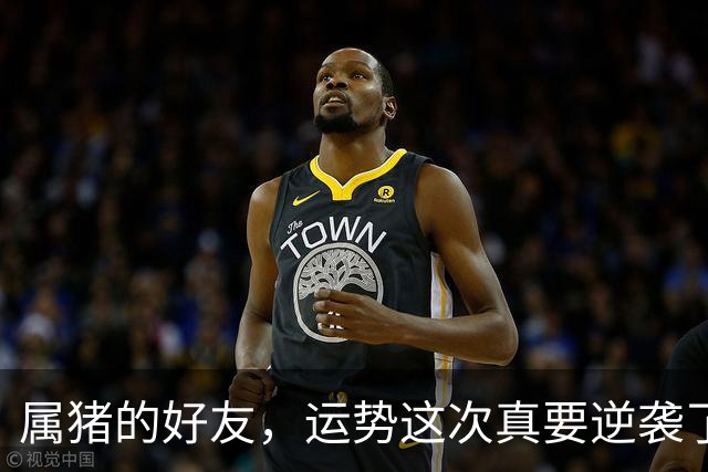 属猪的好友，运势这次真要逆袭了！